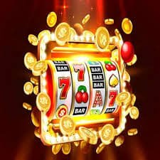 23 bet