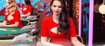 23 bet